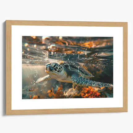 ANIMAL ART TURTLE