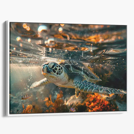 ANIMAL ART TURTLE