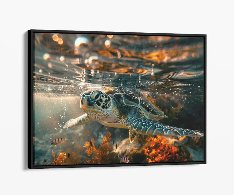 ANIMAL ART TURTLE