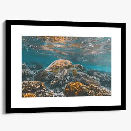 ANIMAL ART TURTLE