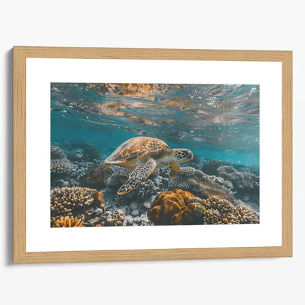 ANIMAL ART TURTLE