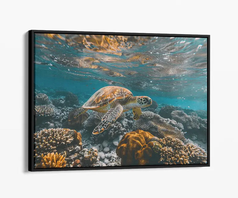 ANIMAL ART TURTLE